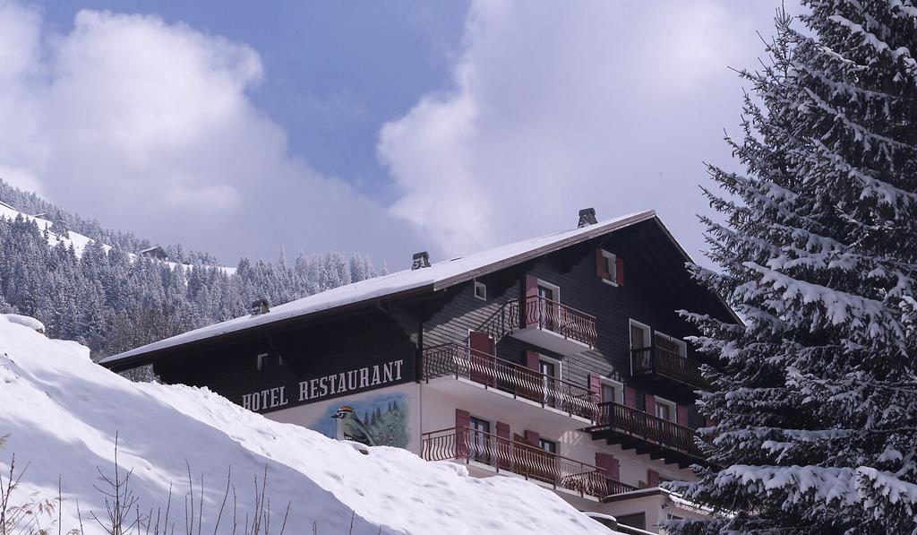 Le Roitelet Hotel Châtel Екстериор снимка